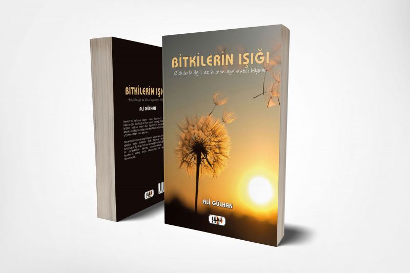 Bitkilerin Işığı