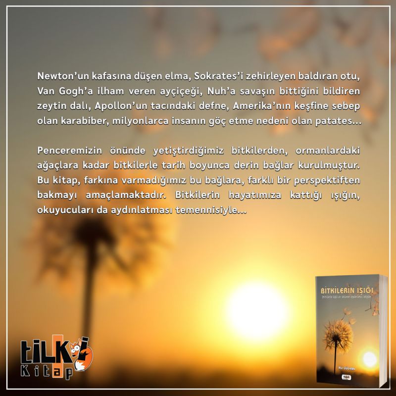 Bitkilerin Işığı