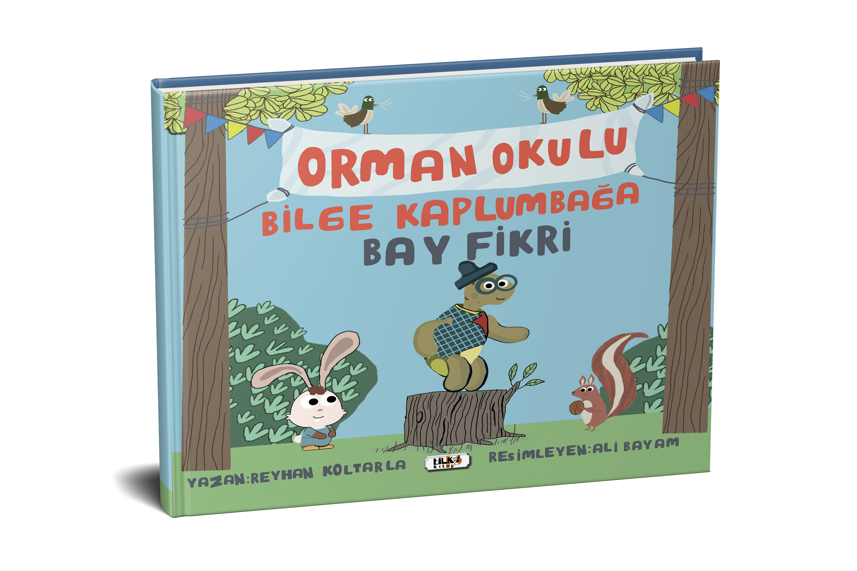 Bilge Kaplumbağa Fikri