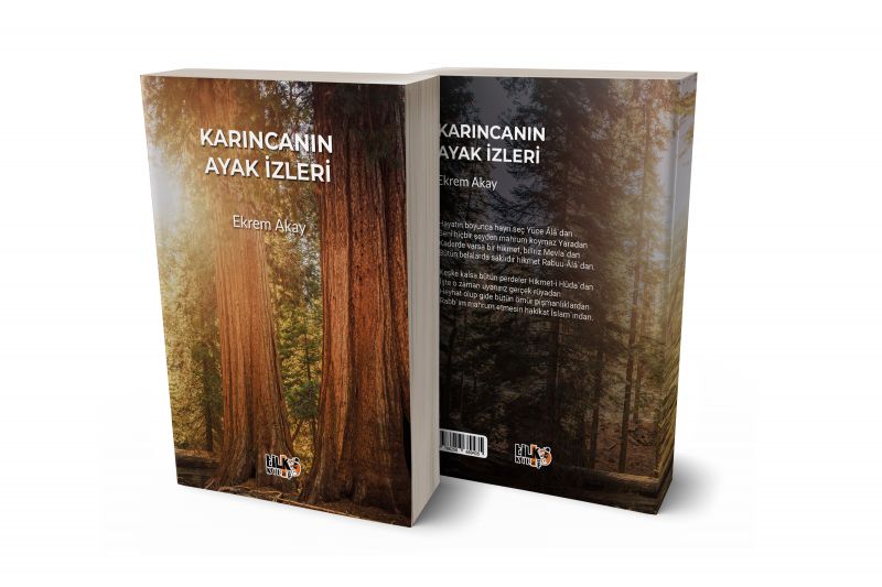 Karıncanın Ayak İzleri