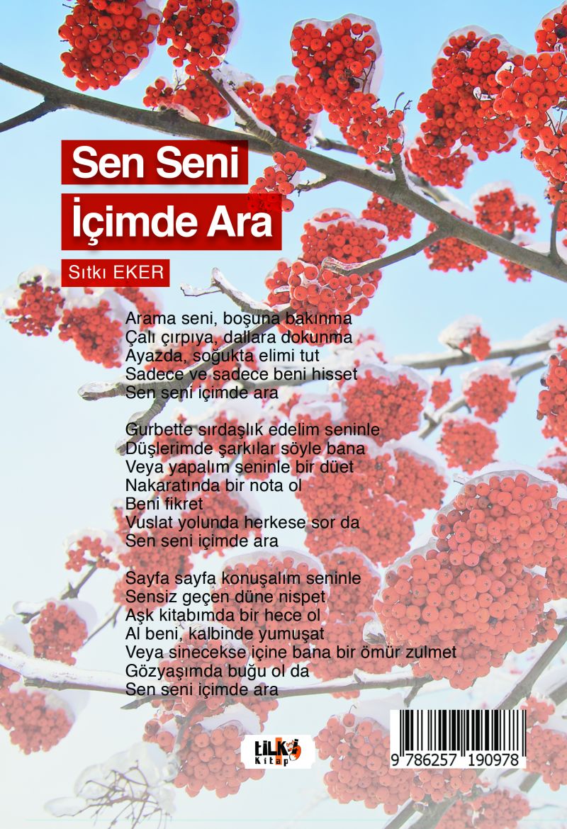 Sen Seni İçimde Ara