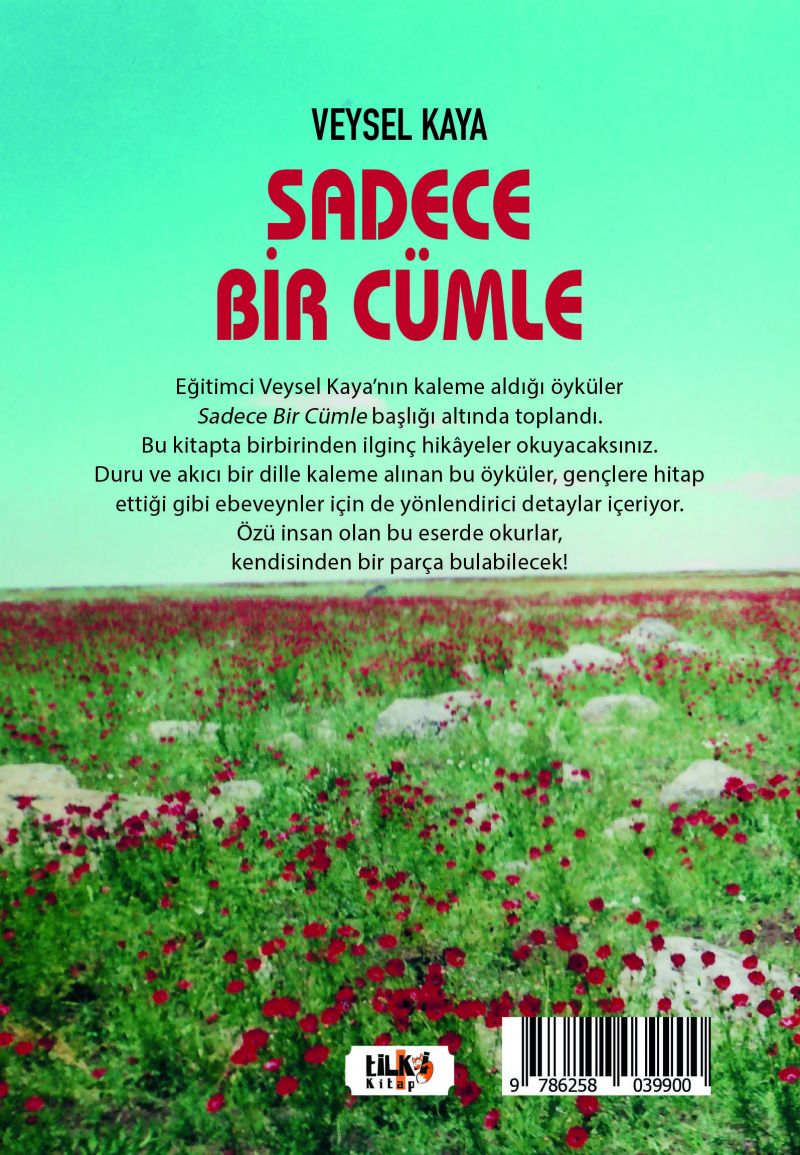 Sadece Bir Cümle
