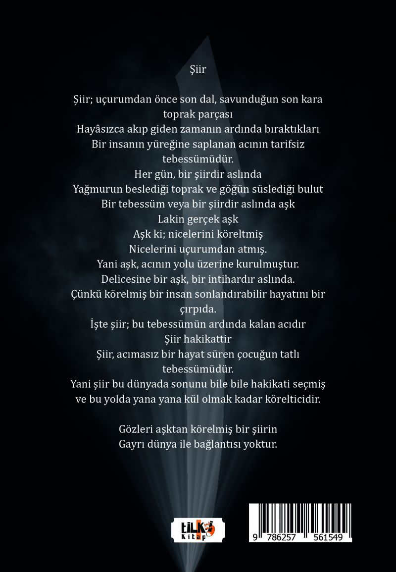 Bir Devrin Sözlüğü