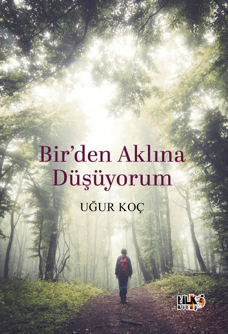Birden Aklına Düşüyorum